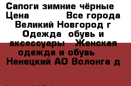 Сапоги зимние чёрные › Цена ­ 3 000 - Все города, Великий Новгород г. Одежда, обувь и аксессуары » Женская одежда и обувь   . Ненецкий АО,Волонга д.